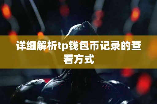 详细解析tp钱包币记录的查看方式