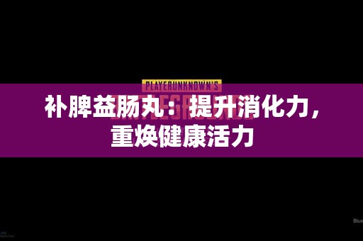补脾益肠丸：提升消化力，重焕健康活力